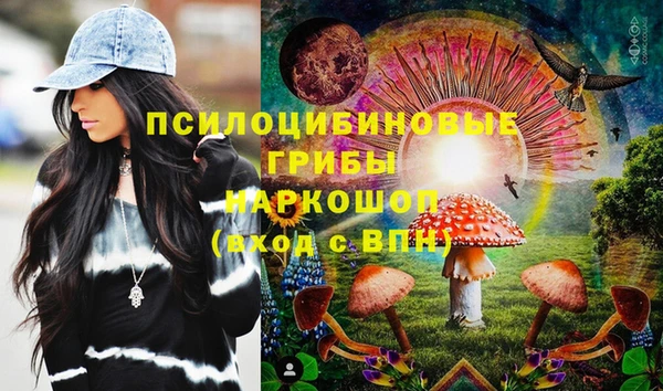 прущий лед Алексин