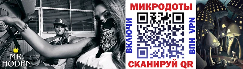 omg онион  Советская Гавань  Псилоцибиновые грибы прущие грибы 
